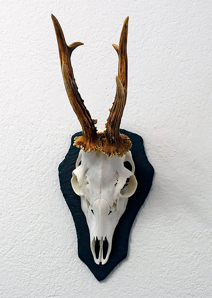 DOMINICUS_3554234562_Trophystone_Trophaenschiefer_REHBOCK_22.5x14cm_Bockbrett_www.bayerwald-jagdcenter.de_0.jpg